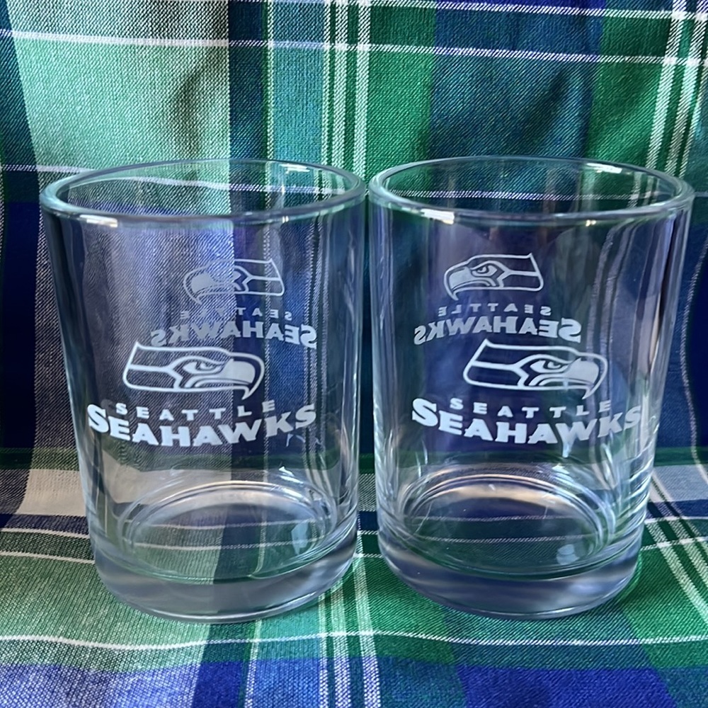 EUC Seattle Seahawks Glasses